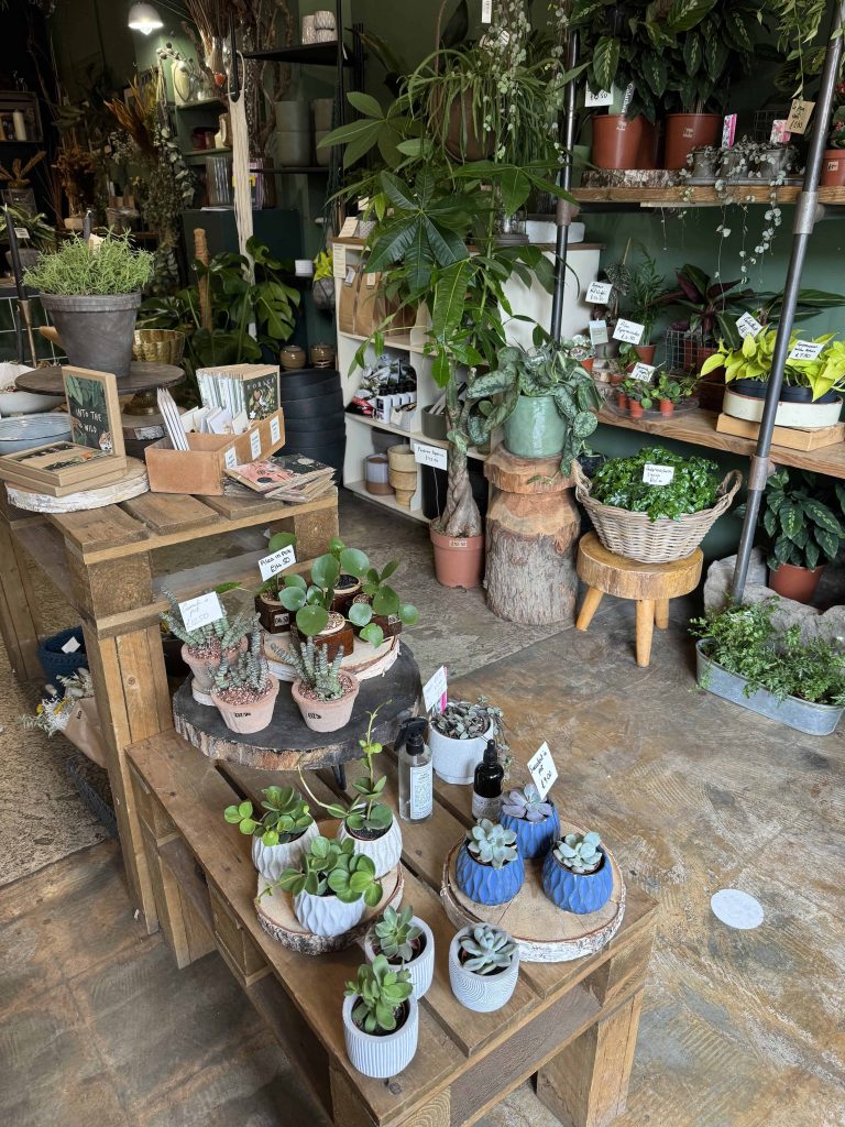 PLANTOLOGY 植物商店